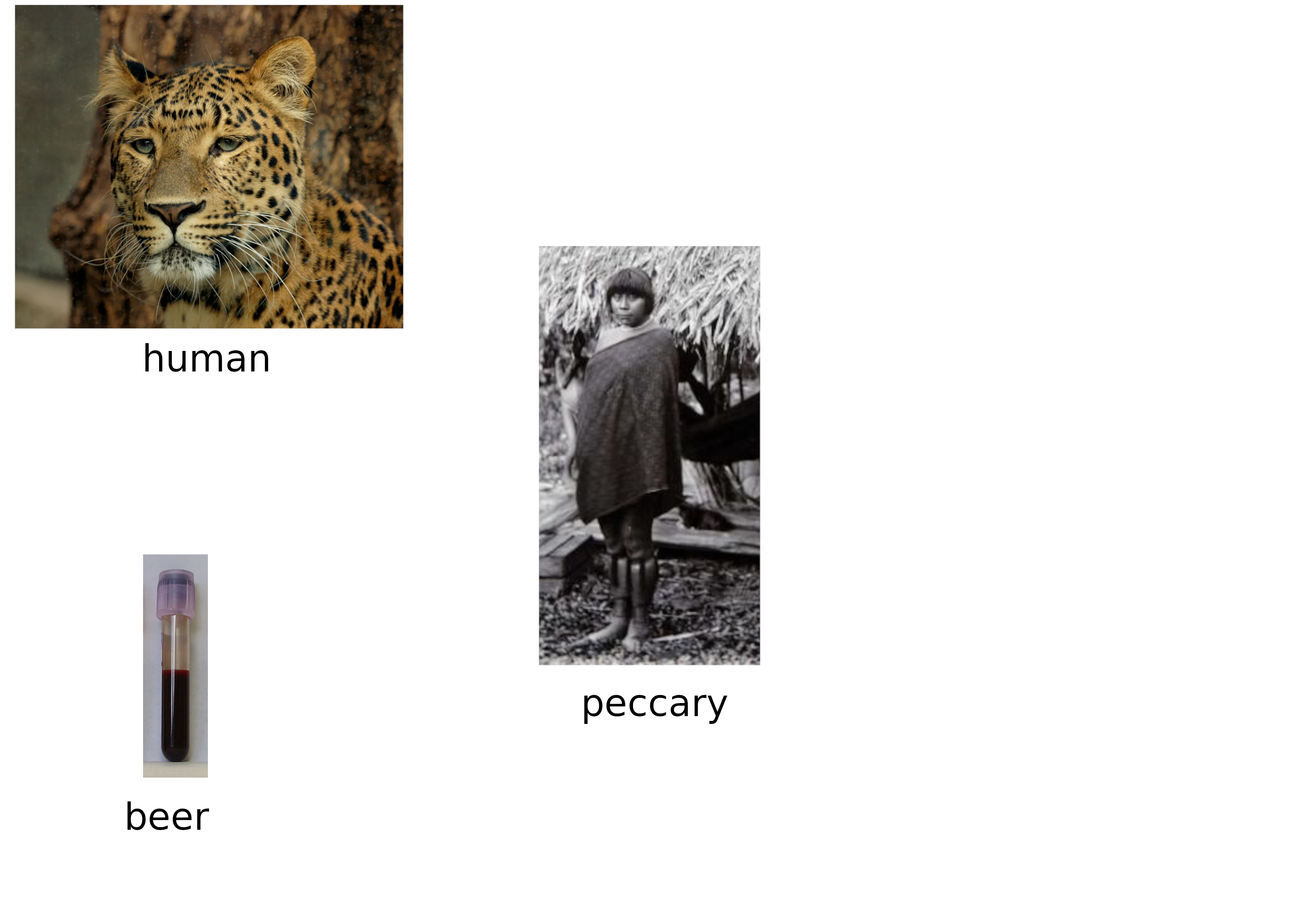 jag_POV.png